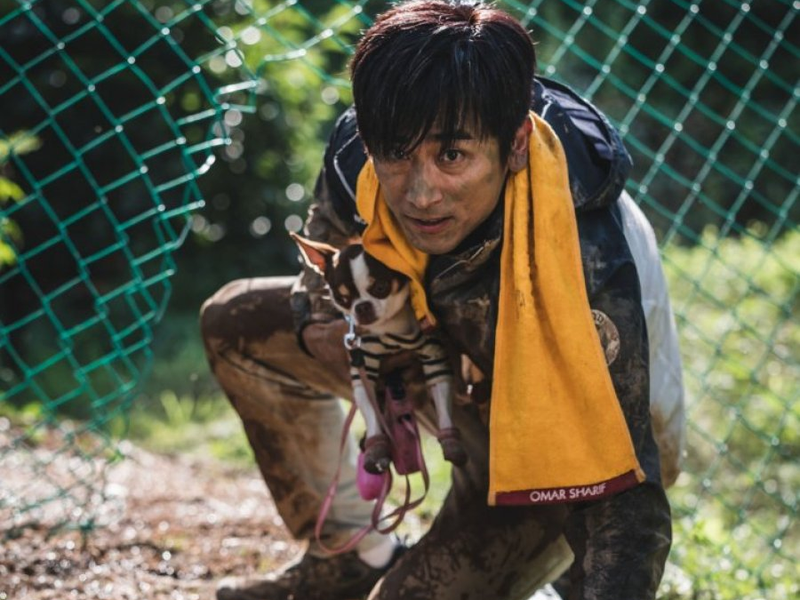 Foto 2 de O Perfeito Sr. Cha