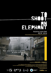 Atirar num Elefante (To shoot an Elephant)