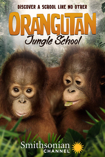 Poster de Franquia Orangutan Jungle School (2018)