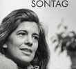 Sobre Susan Sontag