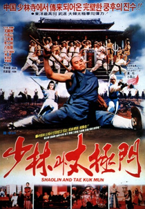 Shaolin and Taichi (Shao lin yu tai ji)