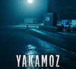 Yakamoz S-245