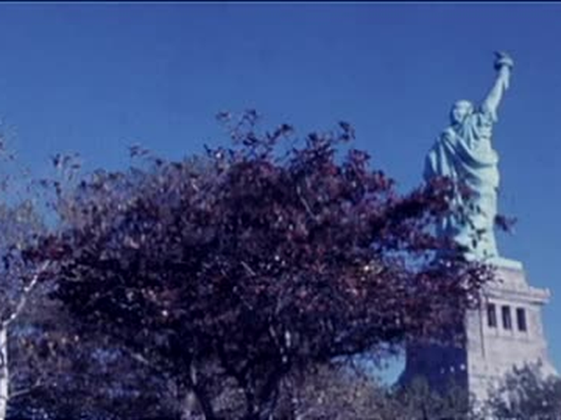 Foto 3 de WTC Haikus