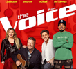 The Voice (23ª Temporada)