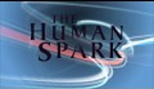 The Human Spark | Preview Part 1: Becoming Us | PBS
