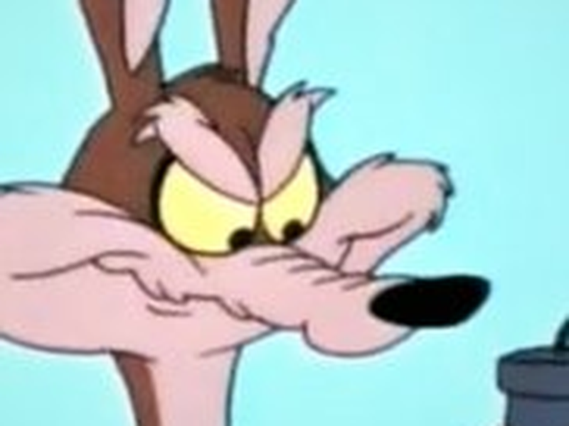 Foto 7 de Cansaço e Penas Soltas