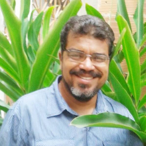 Foto de perfil de Marcelo