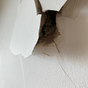 Foto de perfil de Ana Beatriz