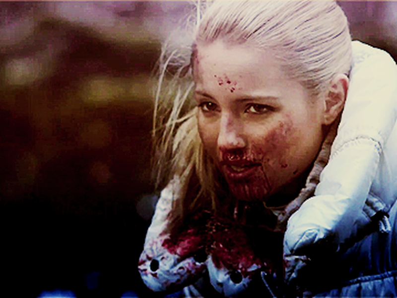 Foto 4 de Os Caçadores