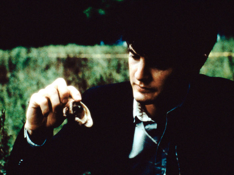 Foto 23 de Veludo Azul