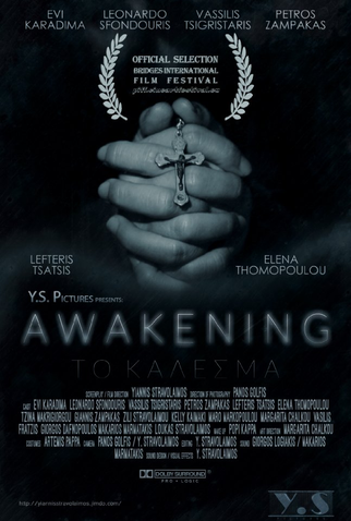 Poster 1 de Filme Awakening (2016)