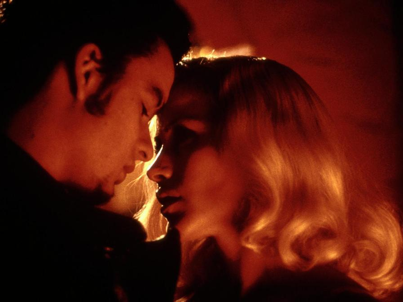 Foto 13 de Estrada Perdida