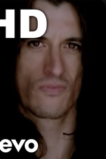 Aerosmith: Falling in Love (Is Hard on the Knees) (Aerosmith: Falling in Love (Is Hard on the Knees))