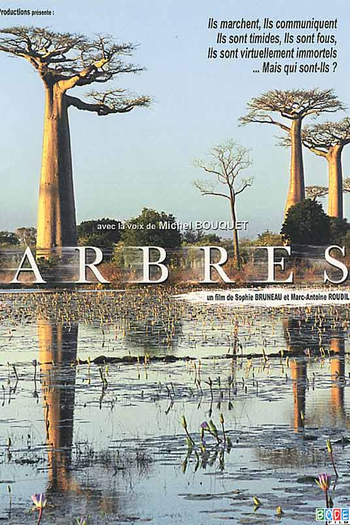 Poster de Filme Árvores (2002)