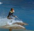 Florida (Disney World)