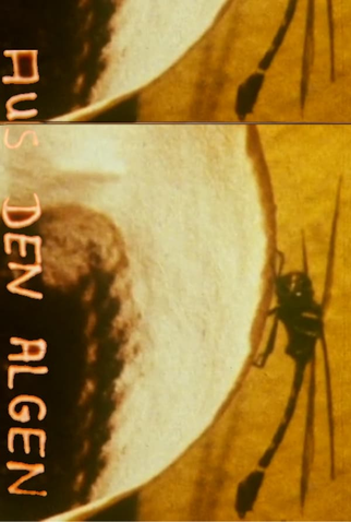 Poster 1 de Curta Aus den Algen (1986)