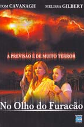  de Filme No Olho do Furacão (2004)