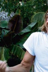 Wild thing, La Folle Histoire Du Rock  (Wild thing, la folle histoire du rock)