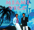 Miami Vice (1ª Temporada)