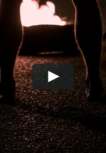 Neandertais (Neandertais)