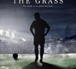 Keep Off the Grass