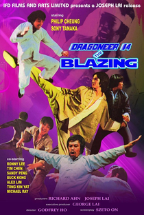 The Blazing Ninja - Poster / Capa / Cartaz - Oficial 2