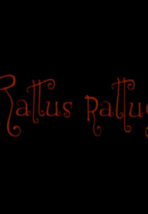 Rattus rattus (Rattus rattus)