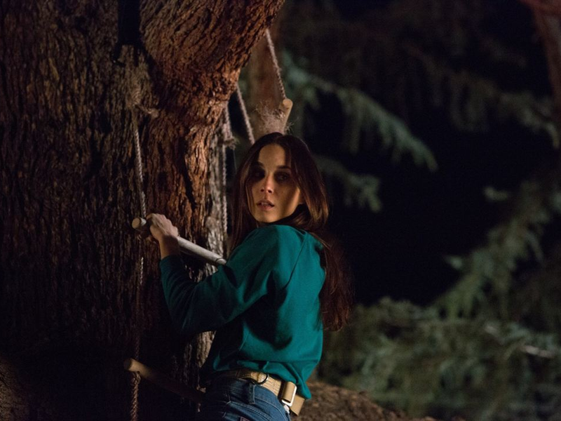 Foto 9 de Feed: O Gosto Do Amor