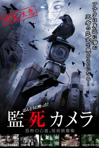 Poster 1 de Filme Paranormal Surveillance Camera (2012)