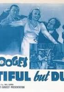 Fotógrafos em fuga (Dutiful but dumb)