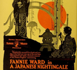 O Rouxinol Japonês