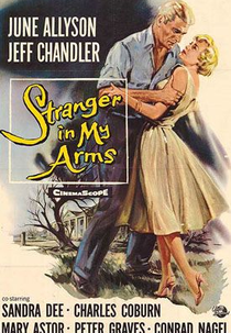 Um Estranho Em Meus Braços (Stranger In My Arms)