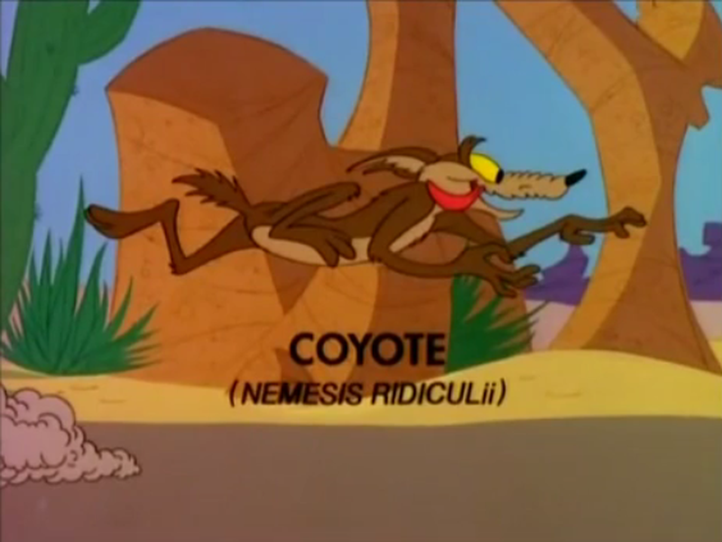 Foto 4 de Soup or Sonic