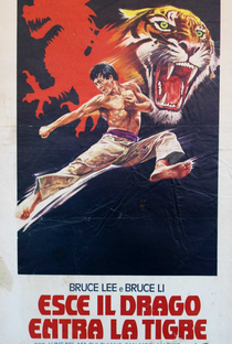 Exit the Dragon, Enter the Tiger - Poster / Capa / Cartaz - Oficial 2