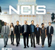 NCIS: Investigações Criminais (21ª Temporada)