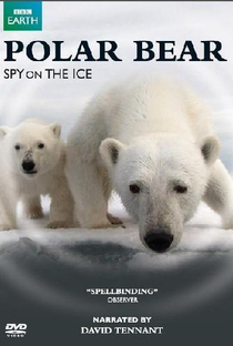 Urso Polar - Espiões na Neve - Poster / Capa / Cartaz - Oficial 1