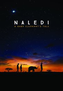 Naledi: A Baby's Elephant's Tale (Naledi: A Baby Elephant's Tale)