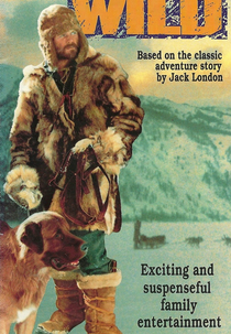 Caninos Brancos (The Call of the Wild)