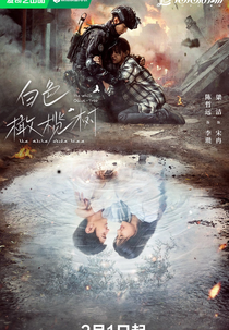 The White Olive Tree (白色橄榄树)