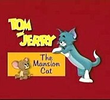 Tom and Jerry: The Mansion Cat