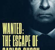 Procura-se: A Fuga de Carlos Ghosn