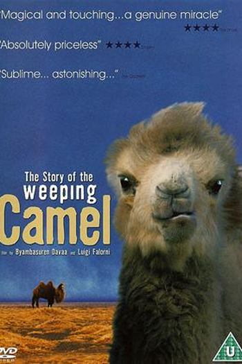  de Filme Camelos Também Choram (2003)