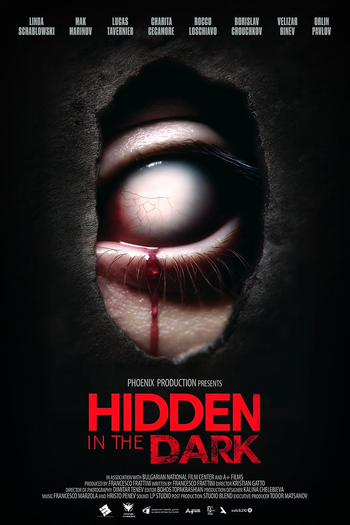 Poster de Filme Hidden in the Dark (2025)