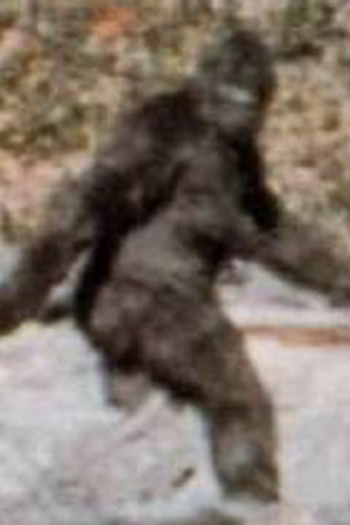 Poster de Episódio Bigfoot (1994)