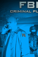 FBI no Século 21 (4ª Temporada) (FBI: Criminal Pursuit (Season 4))