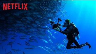 Trailer: Mission Blue - Official Trailer - Exclusively on Netflix Aug 15
