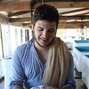 Foto de perfil de Alexandre