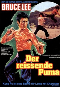 A Imagem do Dragão (Meng nan da zei yan zhi hu)