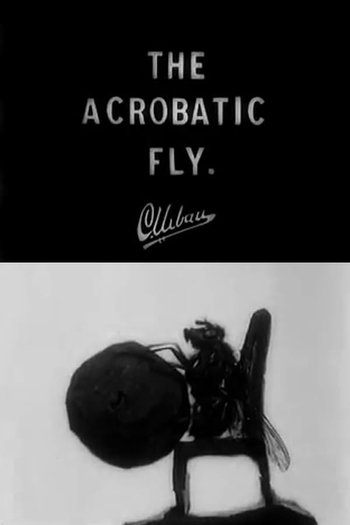Poster de Curta The Acrobatic Fly (1910)