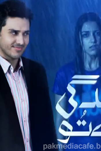 Poster de Série Você é minha vida (2013)